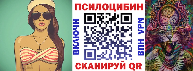 где продают   Абинск  Галлюциногенные грибы Magic Shrooms 
